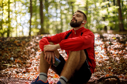 Meditation in the forest